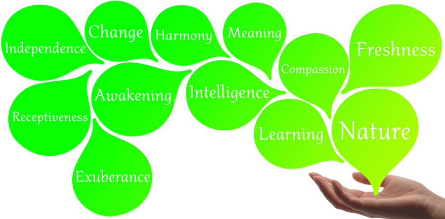 The Meaning of Healing